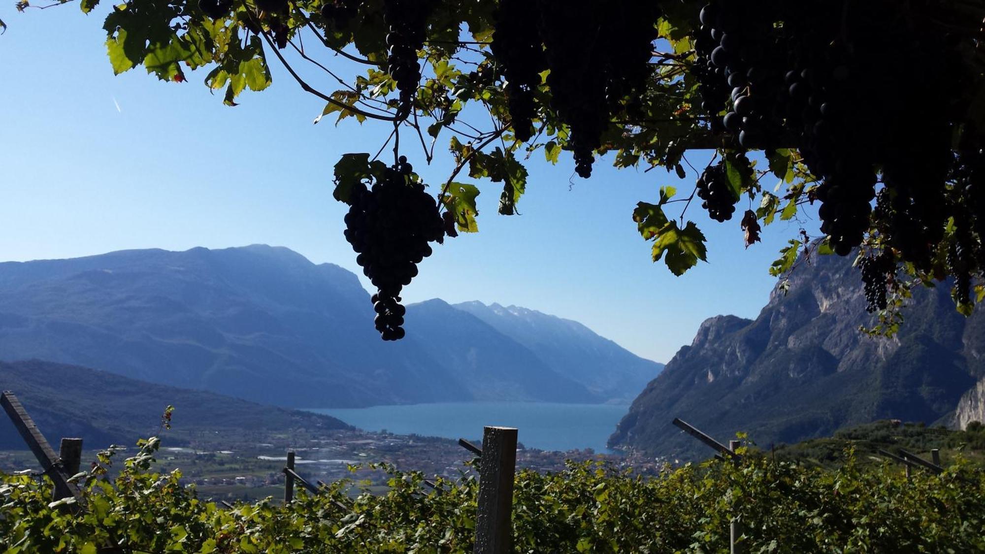 蒂诺Agritur Calvola别墅 外观 照片